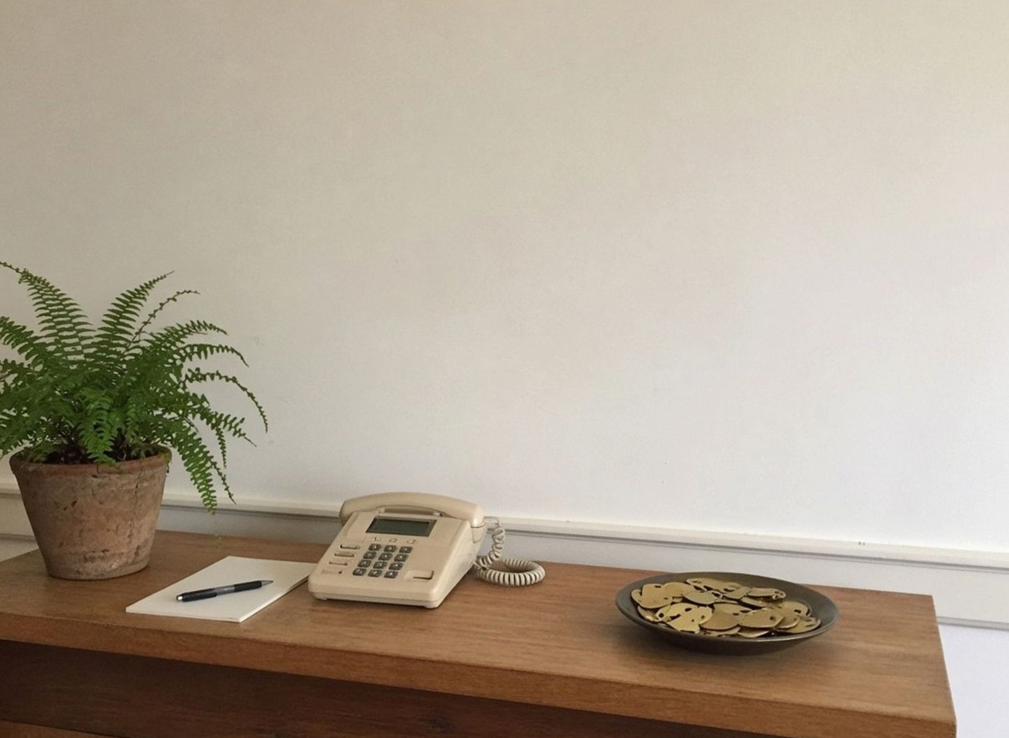 Timber reception desk with brass key fobs, a beige landline and a fern